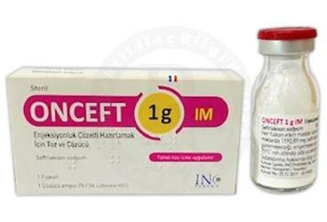 ONCEFT 1 G IM ENJKESIYONLUK COZELTI HAZIRLAMAK ICIN порошок VE COZUCU (1 флакон)