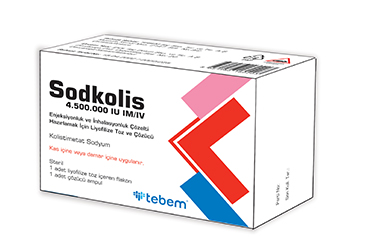SODKOLIS 4.500.000 IU IM/IV ENJEKSIYONLUK VE INHALASYONLUK COZELTI HAZIRLAMAK ICIN лиофилизированный порошок VE COZUCU