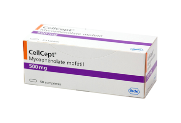CELLCEPT 500 MG 50 таблетки