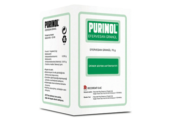 PURINOL 250 MG+ 615 MG/5 G EFERVESAN гранулы (140 G SISE)