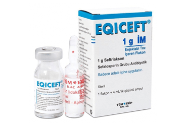 EQICEFT- IM 1000 MG 1 флакон