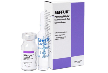 SEFFUR 750 MG/IV ΠΏΠΎΡΠΎΡΠΎΠΊ Π΄Π»Ρ ΠΈΠ½ΡΠ΅ΠΊΡΠΈΠΉ Δ°ΓEREN ΡΠ»Π°ΠΊΠΎΠ½