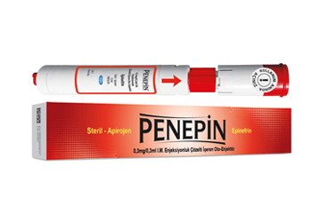 PENEPIN 0,3 MG/0,3 ML I.M. раствор для инъекций ICEREN OTO шприц-ручка (2 ADET)